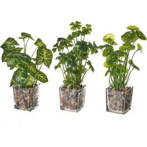 LOLAhome Set de 3 plantas artificiales combinadas de tela con maceta de cristal de 14x12x28 cm