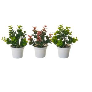 LOLAhome Set de 3 plantas artificiales con maceta blanca de plásticode Ø 12x17 cm