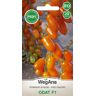 Tomate Odat F1 20 semillas semillas de tomate - WegAna