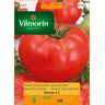 Tomate de campo enano Hector F1 semillas 0,1g - VILMORIN