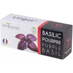 VERITABLE Recharge VERITABLE Basilic Pourpre BIO