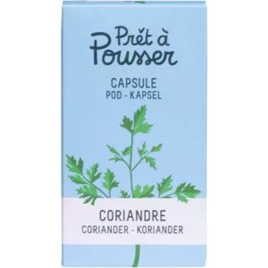 Recharge PRET A POUSSER CORIANDRE