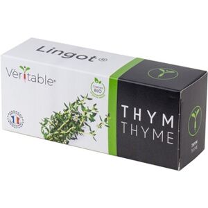 Veritable LINGOT THYM BIO - Publicité