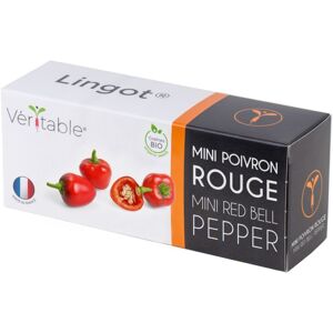 Lingot Mini Poivron Rouge Bio Pour Potager Véritable - Publicité