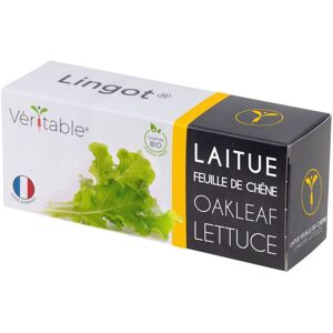 Lingot Laitue Feuille De Chêne Bio Pour Potager Véritable - Publicité