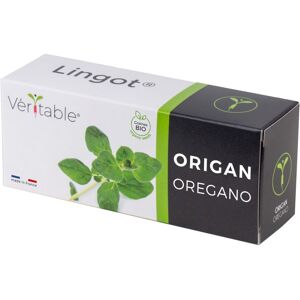 Lingot Origan Bio Pour Potager Véritable - Publicité