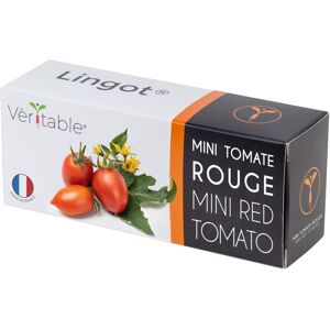 Lingot Mini Tomate Rouge Pour Potager Véritable - Publicité