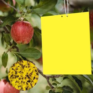 20 Pièces Jaune Mouche Piège Double Face Viscosité Pièges à Insecte Bande Glue Arbre 20*10cm Anti Moucherons Plantes Intérieur Piège Moucheron pour Moustique Insecte Jardin Fleur Fly Trap - Publicité