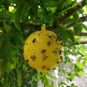 20 pièces piège à mouches, anti-mouches d'extérieur, piège à mouches des fruits, mouches adhésives et pièges à moustiques, attrape-mouches professionnel tue les mouches des fruits plante insecticide moustique boule de jardin - Publicité