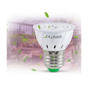 Ampoule Horticole E27 LED pour Plantes, 30W E27 avec 40LED Lampe Plante à  Spectre Complet, AC