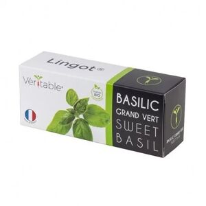 Lingot Basilic Grand Vert Bio Pour Potager Véritable - Publicité