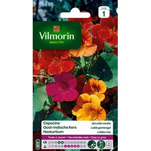Vilmorin 5185441 Capucine de lobb variée, Multicolore, 90 x 2 x 160 cm - Publicité