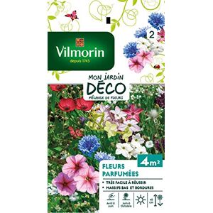 Vilmorin 5862942 Fleur parfumée, Multicolore, 90 x 2 x 160 cm - Publicité