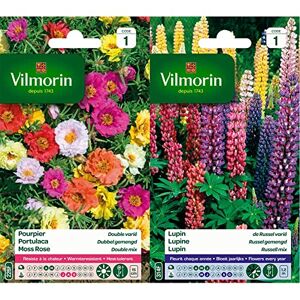 Vilmorin 5633441 Pourpier à Grande Fleur Double varie, Multicolore, 90 x 2 x 160 cm & 5345741 Lupin de Russel varie, Multicolore, 90 x 2 x 160 cm - Publicité
