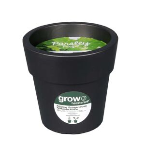 HESTERA_GARDEN Kit persil a faire pousser en pot 24 cm anthracite