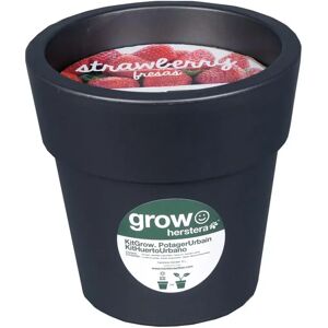 HESTERA_GARDEN Kit fraises a faire pousser en pot 24 cm anthracite