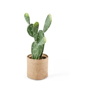 Oviala Business Plante artificielle en pvc cactus