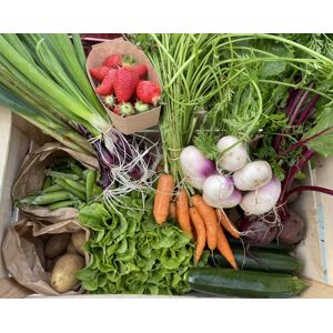 Panier de legumes bio de saison - 3,5kg - En direct de Le Potager de Sainte-Helene (Morbihan)