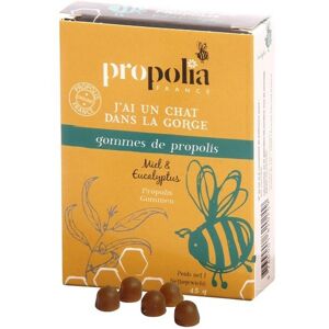 Propolia - Spécialistes de la Propolis Présentoir 24 boîtes de Gommes de Propolis Eucalyptus