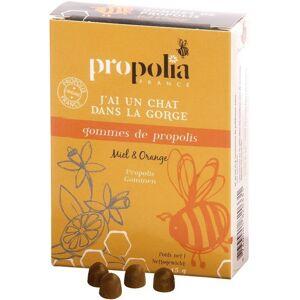 Propolia - Specialistes de la Propolis Presentoir 24 boîtes de Gommes de Propolis Orange