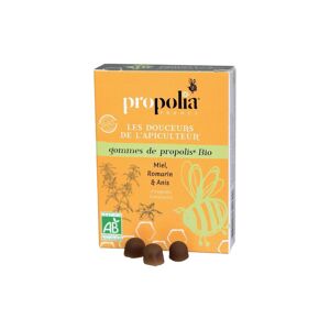 Propolia - Specialistes de la Propolis Presentoir de 24 boîtes de Gommes de Propolis Bio Miel, Romarin & Anis