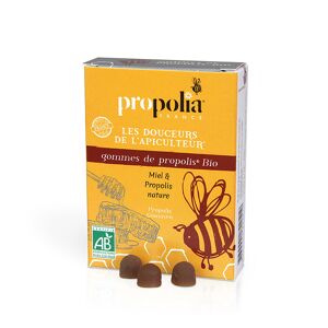 Propolia - Specialistes de la Propolis Presentoir de 24 boîtes de Gommes Miel et Propolis Bio