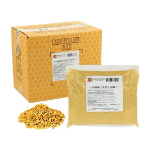 Apiculture.net - Matériel apicole français 12 x Candipolline Gold 1kg