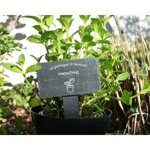 Cadeaux.com Mini-ardoise pour plante personnalisable - Potager - Publicité