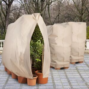 IDMarket Housses d'hivernage pour plantes 80x160cm