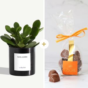 Plante Mamie Cherie By Charlot et ses chocolats - Interflora - Livraison de fleurs