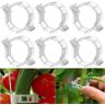 100pcs Pinces ¿¿ plantes, pinces ¿¿ plantes pour plantes grimpantes, pinces ¿¿ tomates en plastique pour plantes grimpantes, pinces ¿¿ plantes