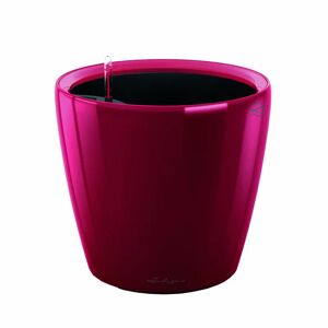 LECHUZA Vaso Classico Premium  in polipropilene rosso H 33 x Ø 35 cm