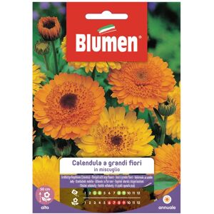 BLUMEN Seme fiore Calendula a Grandi fiori in miscuglio 0.01 g