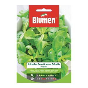 BLUMEN Seme per orto Valeriana