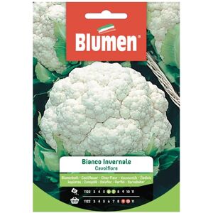 BLUMEN Seme per orto Cavolfiore Bianco