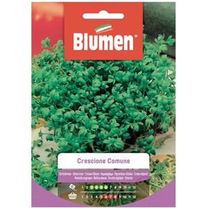 BLUMEN Seme per orto Crescione Comune