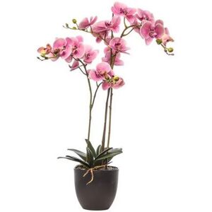 Leroy Merlin Pianta artificiale senza vaso Phalaenopsis H 110