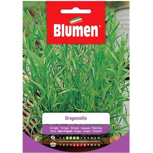 BLUMEN Semi Dragoncello