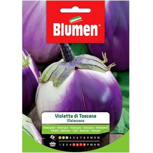 BLUMEN Semi Melanzana Violetta Toscana