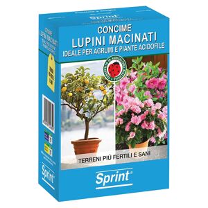 Sprint LUPINI MACINATI PER AGRUMI  LENTA CESSIONE N 3 ORGANICO BIO 0,7 kg