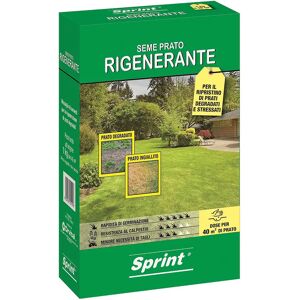 Sprint SEME PRATO RIGENERANTE  PER 40 m² 1 kg