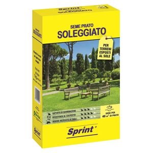 Sprint SEME PRATO SOLEGGIATO  PER 40 m² 1 kg