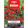 BLUMEN Semi Papavero Ladybird