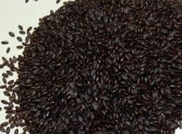 Erbamea Psillio semi (100 g)