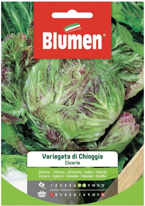 BLUMEN Seme per orto Cicoria Variegata Chioggia