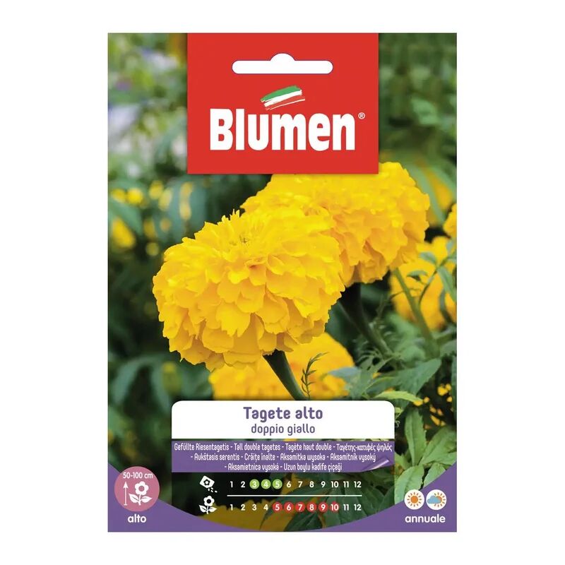 BLUMEN Seme fiore Tagete alto giallo