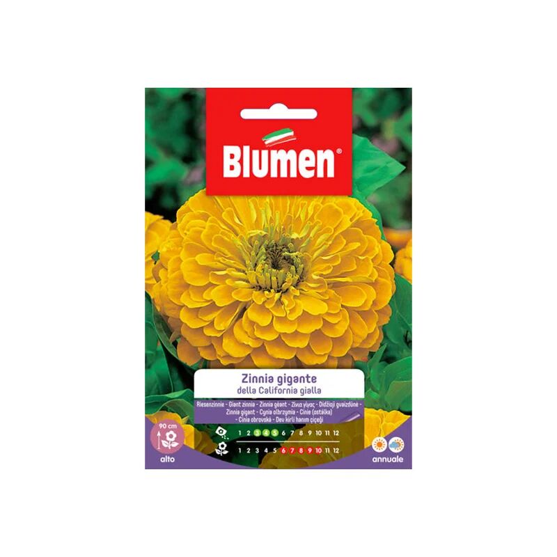 BLUMEN Semi Zinnia Gigante gialla