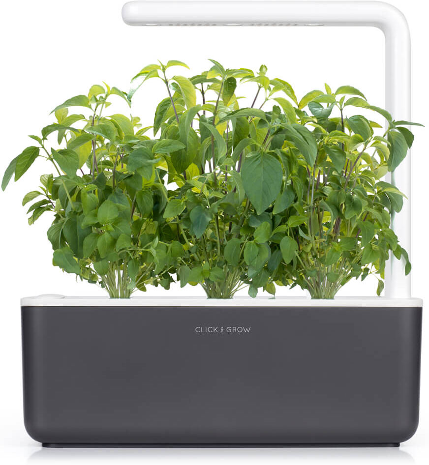 Click & Grow Smart Garden 3 Antraciet (Incl 3 basilicum plantjes)