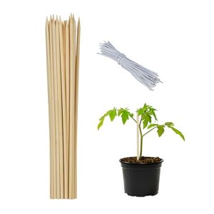 Relaxdays plantenstok bamboe, 50 stuks, 30 cm lang, rankhulp voor planten, Ø 5mm, plantensteun met binddraad, natuur