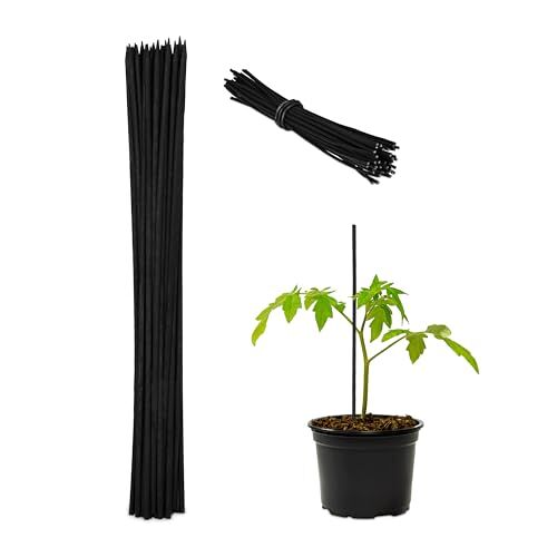 Relaxdays bamboestokken, set van 50, HxØ 30x0,5 cm, plantenstokken met binddraad, tuinstokken, decoratie, binnen, zwart